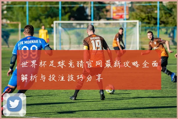 世界杯足球竞猜官网最新攻略全面解析与投注技巧分享